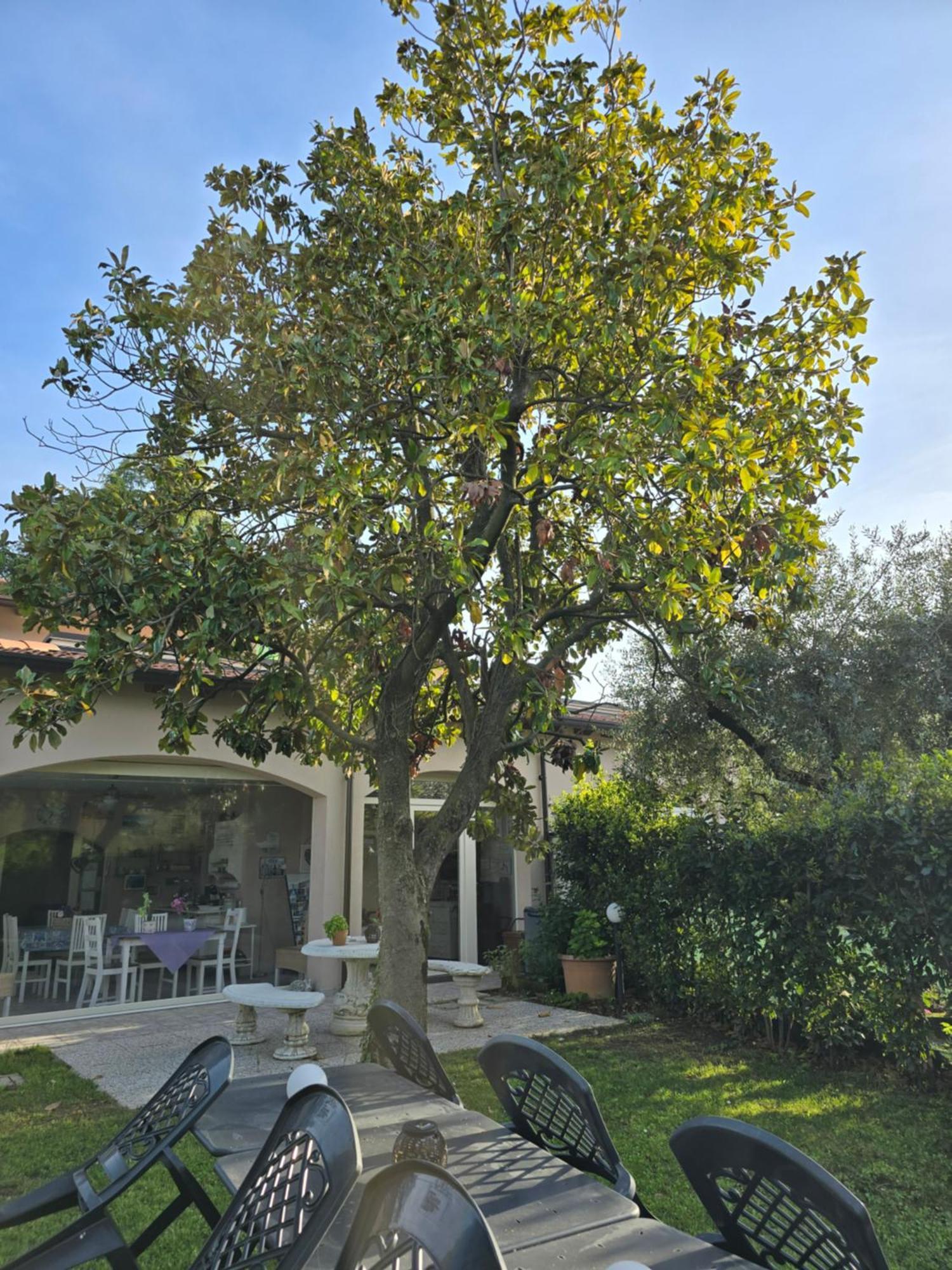 Villa Indipendente A Pochi Passi Dal Lago San Felice del Benaco Eksteriør billede