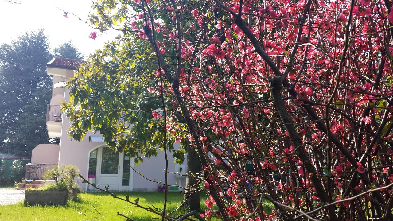Villa Indipendente A Pochi Passi Dal Lago San Felice del Benaco Eksteriør billede